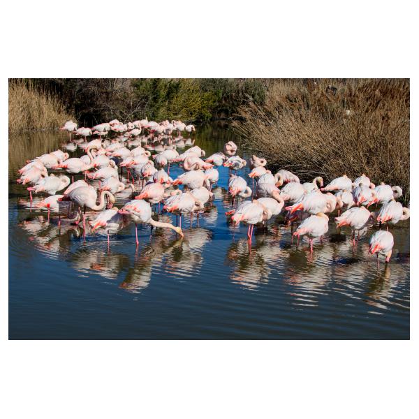 PHOTO84, CLUB, 84 , LUBERON